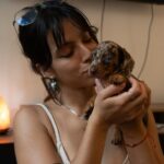 Dachshand Perro Salchicha Uruguay (203)