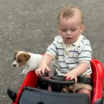 Jack Russel Uruguay (1)